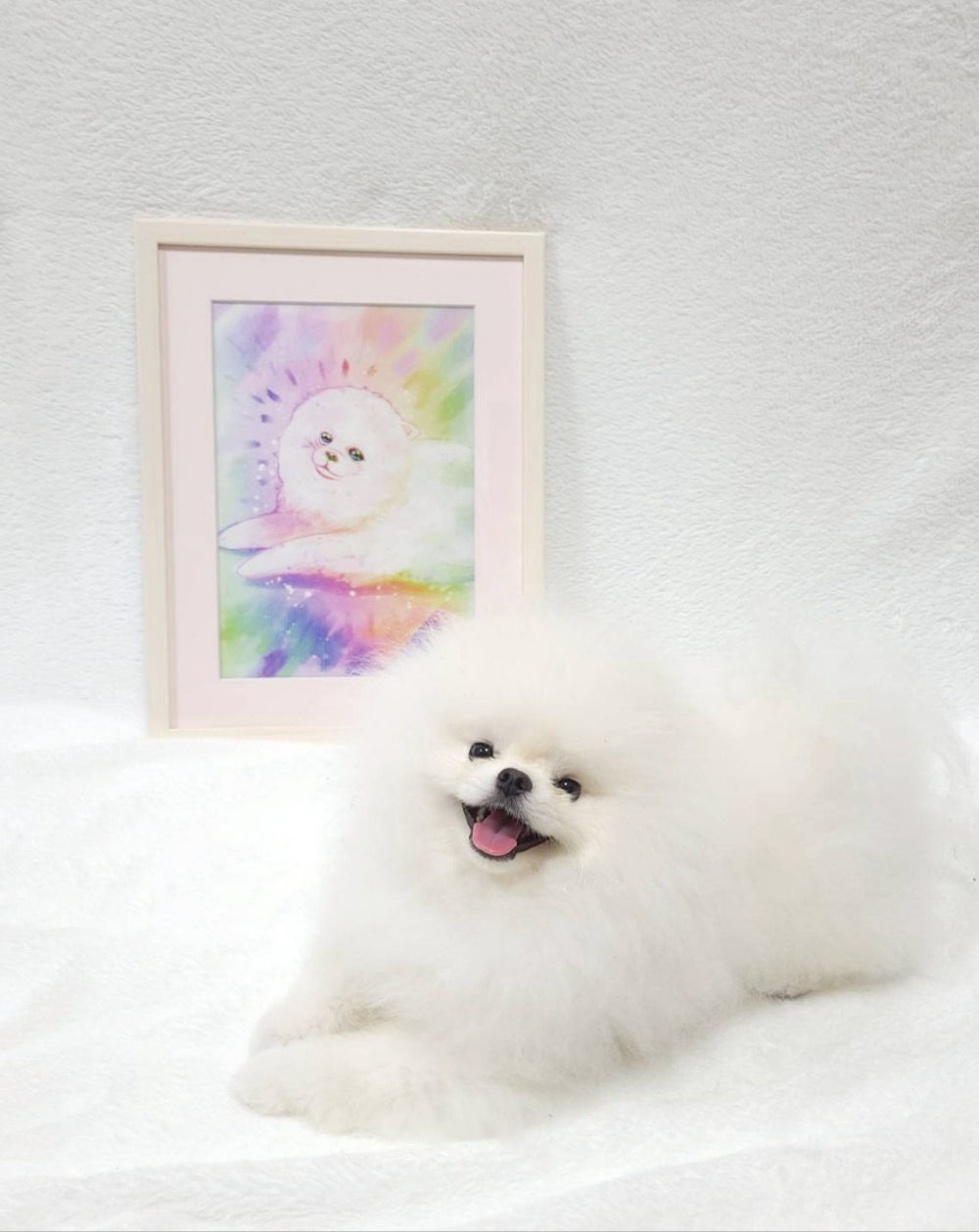 【ペット専門】 "生きている" メリアル・アート 】あなたの大切な思い出を〝生きているメモリアル・アートに〟